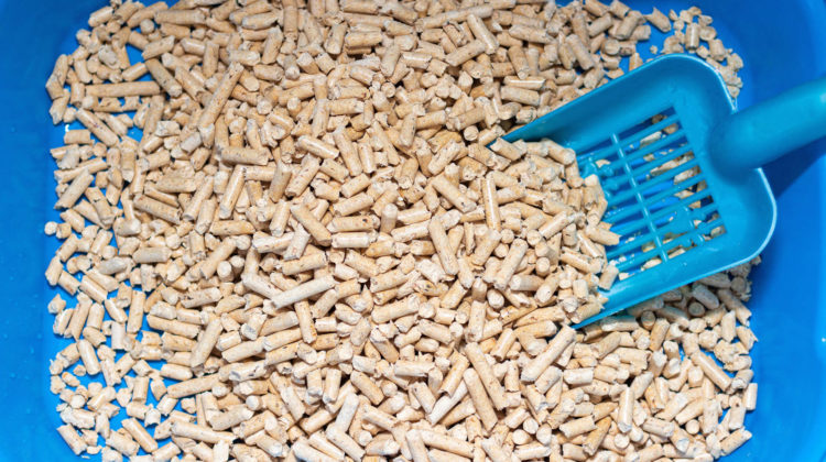 Cat litter pellets on sale review