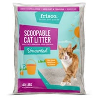 Best Cat Litter for Cats with Allergies (Hypoallergenic Litters)