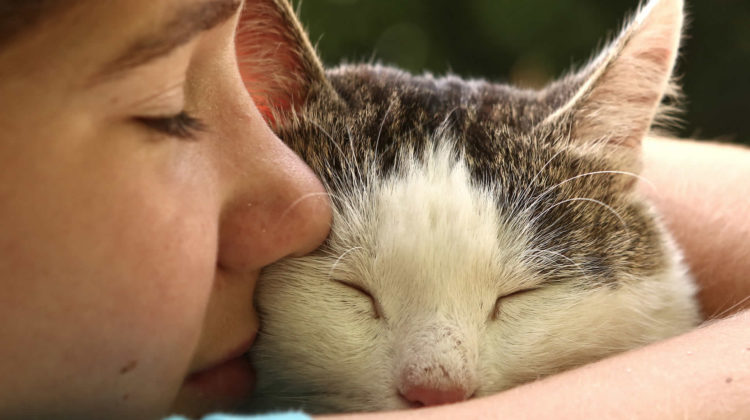 Why Do Cats Get In Your Face While You Sleep