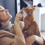 Can Cat Urine Cause Headaches