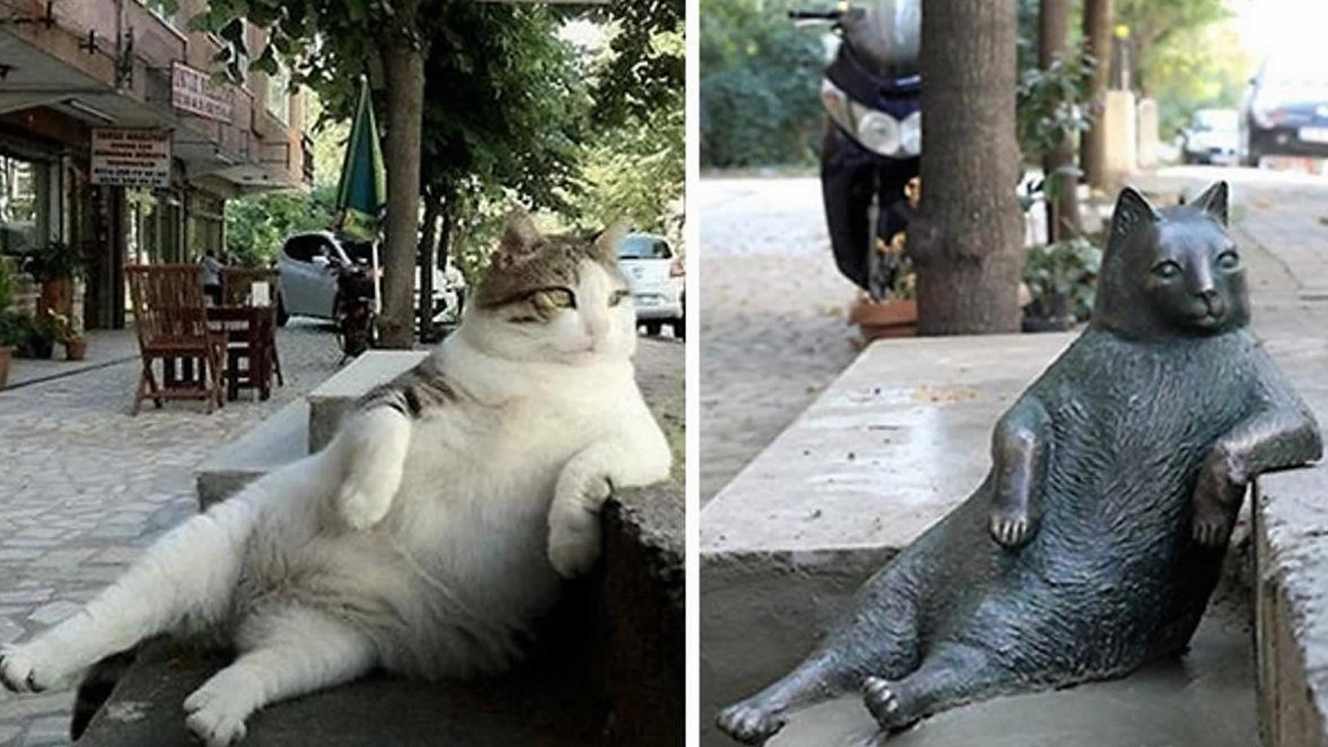 Tombili Cat Statue