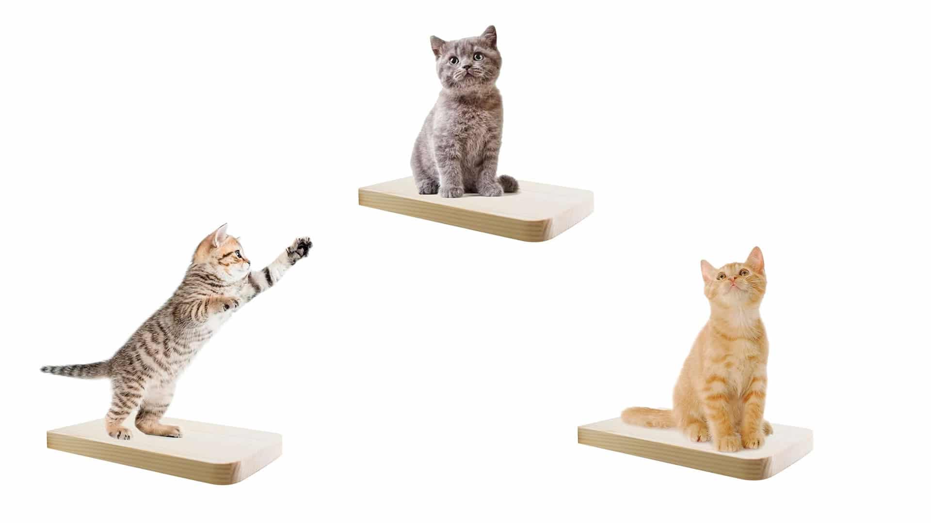 3 Pcs Cat Steps Wooden Cats Board Shelf Wall Mounted, Kitty Activity Wall