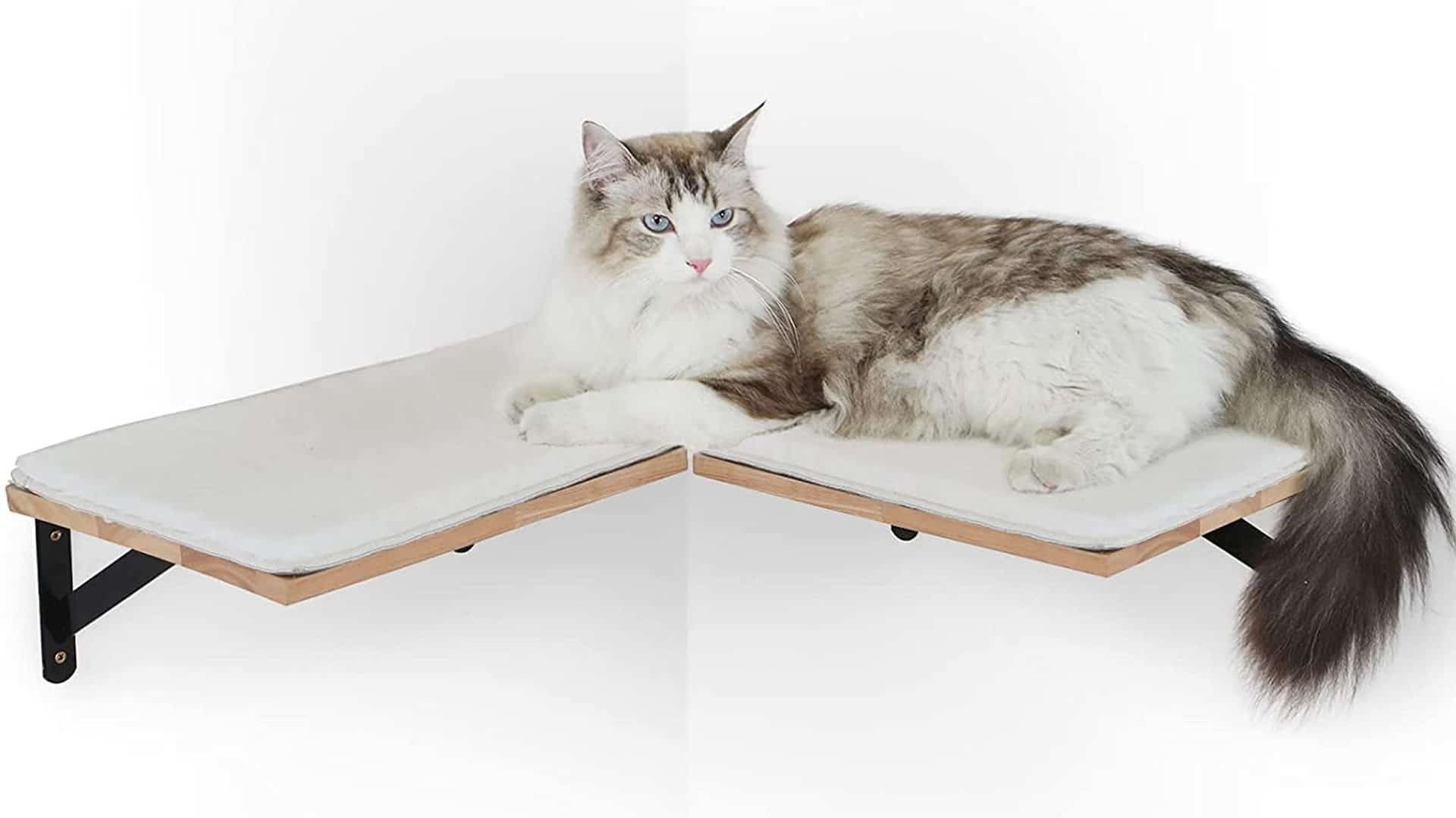 FUKUMARU Cat Shelf Furniture, Wall Mounted Corner Cat Shelves