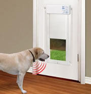 Chewy - High Tech Pet Products PX-2 Power Pet Door