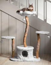 Mau Lifestyle Leone 50-in Modern Wooden Cat Tree