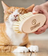 Etsy - Cat brush Handmade Natural Hair Brush Made of Beech Wood Bristles made of Tampico Fibers